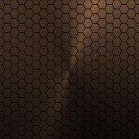 Exude Brand Sophistication with Copper Signage